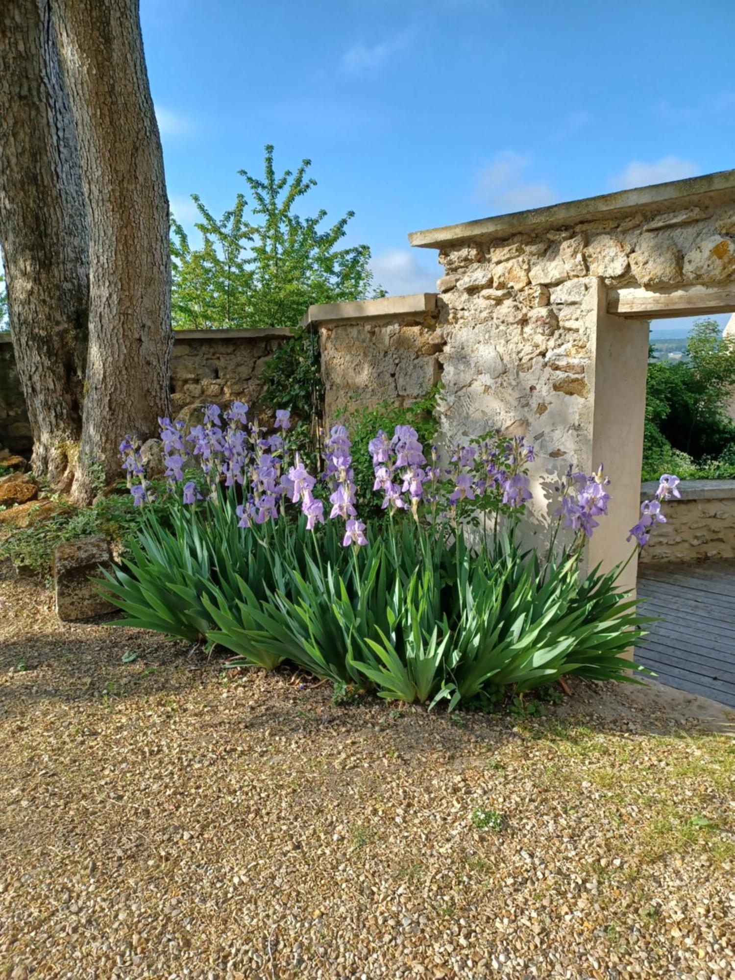 Le Verger Vaux-Sur-Seine Eksteriør bilde